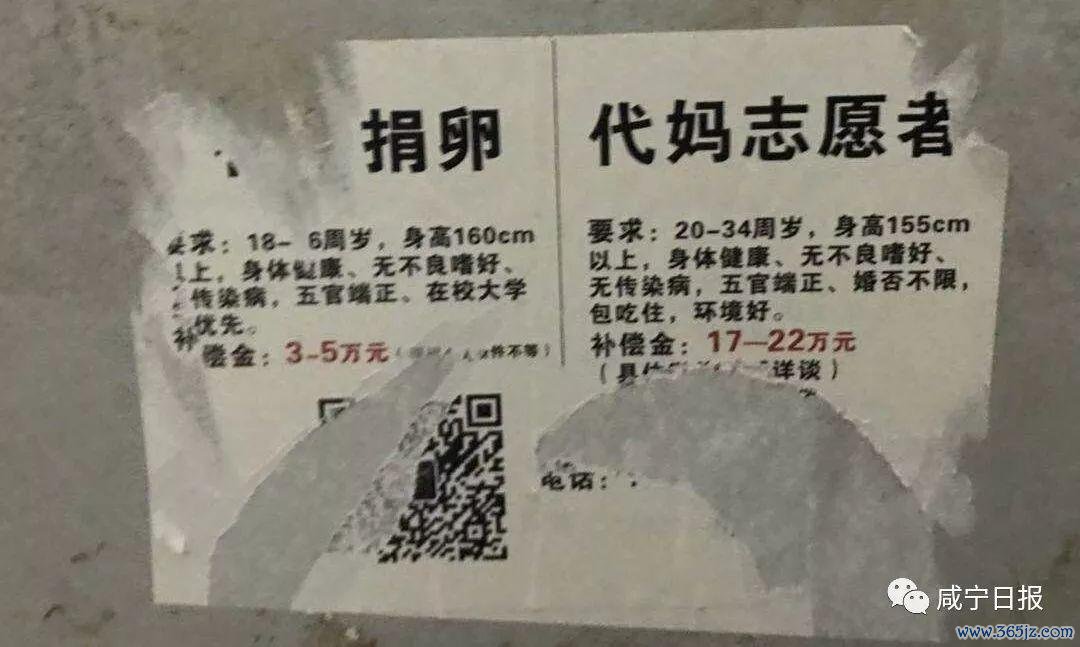 北京捐卵公司提供合法捐卵服务，专业医疗团队保障卵源质量