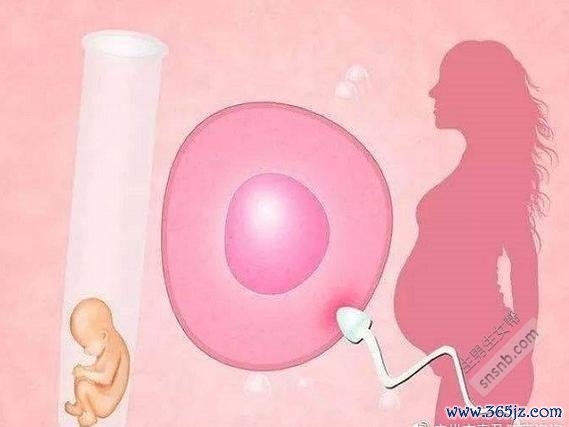 北京试管婴儿供卵服务优势显著